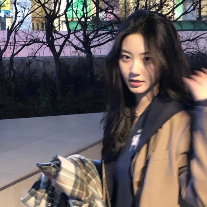上流社会